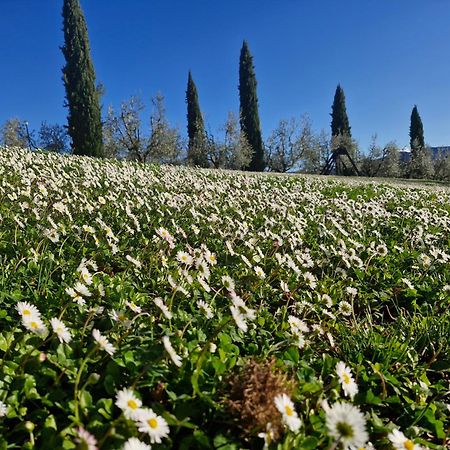 Agriturismo Val Della Pieve Anghiari Buitenkant foto