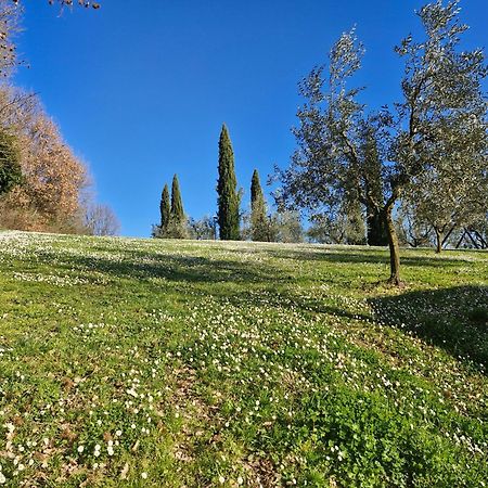Agriturismo Val Della Pieve Anghiari Buitenkant foto