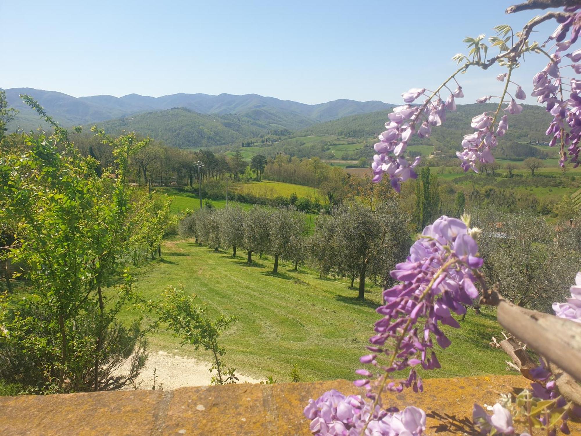 Agriturismo Val Della Pieve Anghiari Buitenkant foto