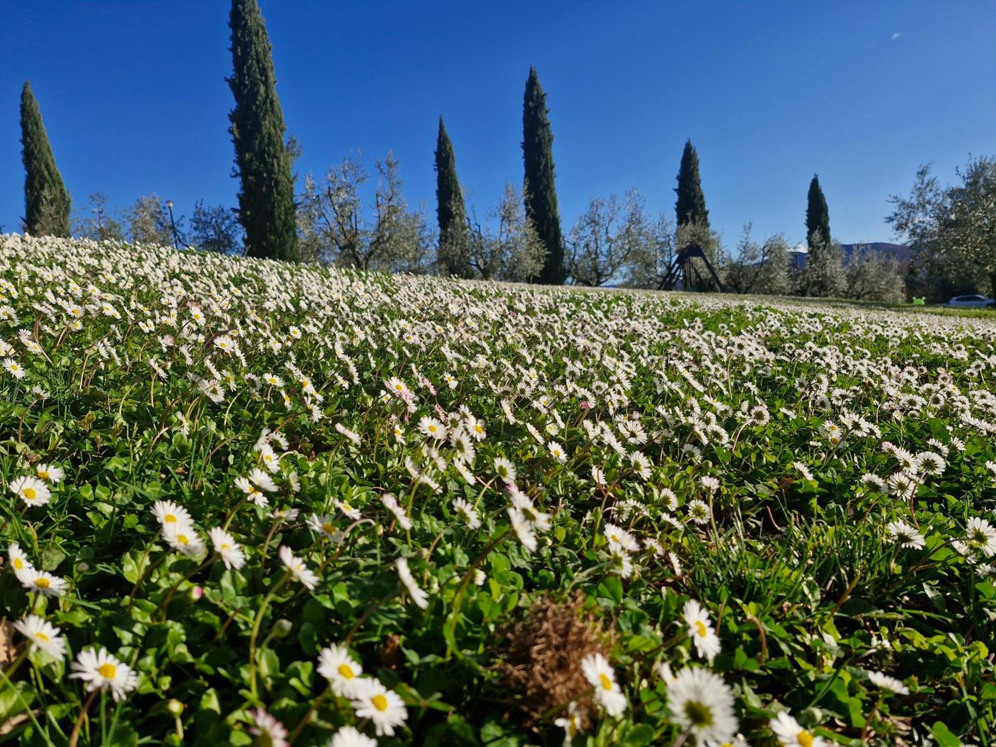 Agriturismo Val Della Pieve Anghiari Buitenkant foto