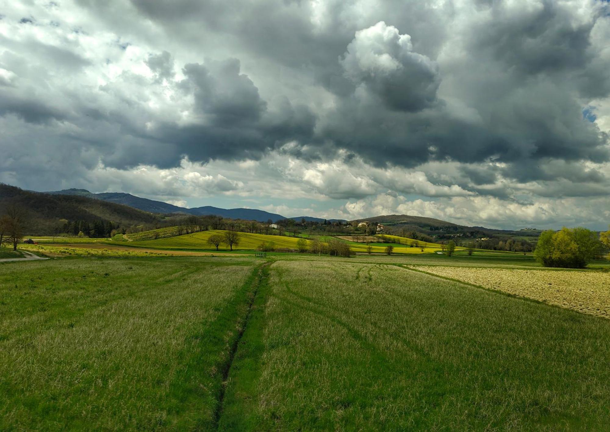 Agriturismo Val Della Pieve Anghiari Buitenkant foto